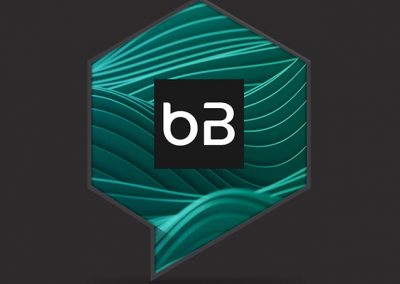 botBrains – Corporate Design Development