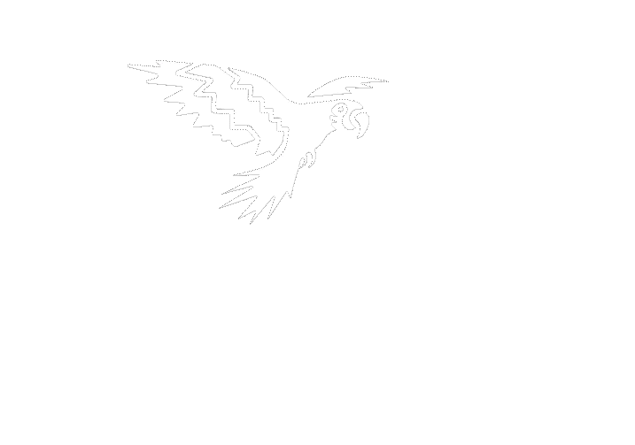 Animated Logo of the freelance Art Director and UI/UX Designer Christoph Gey from Leipzig