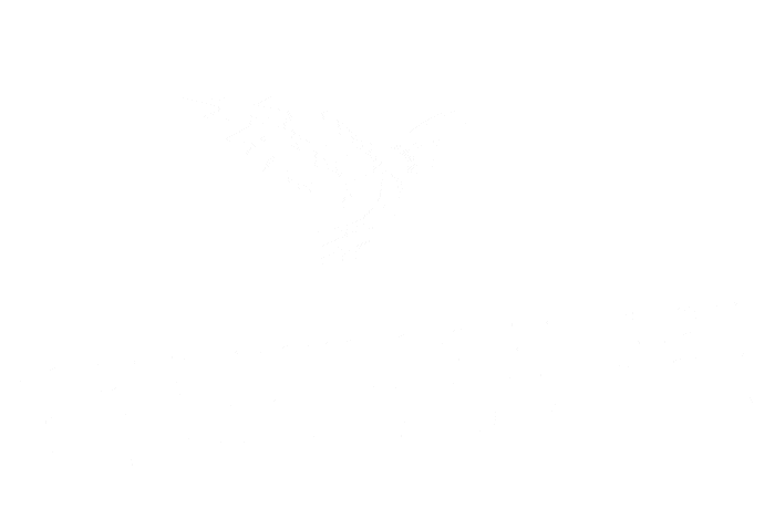 Animated Logo of the freelance Art Director and UI/UX Designer Christoph Gey from Leipzig