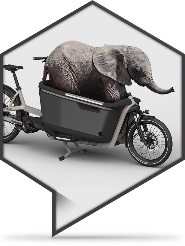 Ca Go Corporate Design Development by freelance creative and art director Christopher Gey