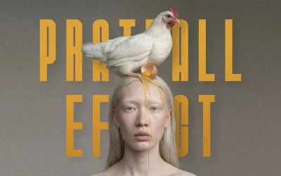 Pratfall Effect – neuroscience meets design